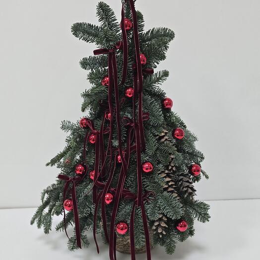 Новогодняя композиция из нобилиса М