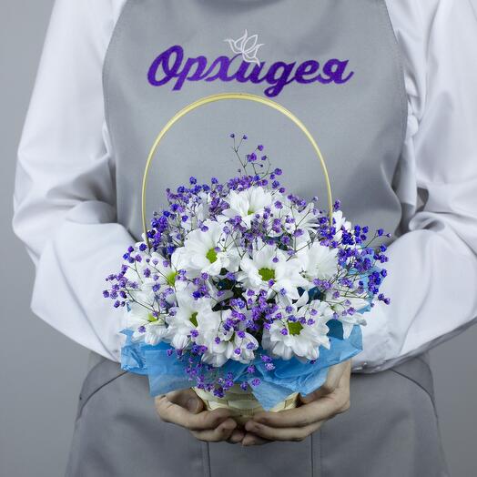 Композиция Риккоти