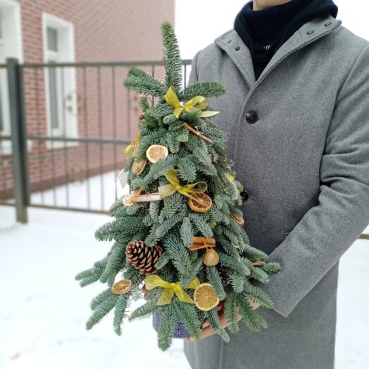 Ёлочка чудесная
