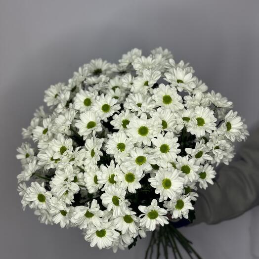 Букет из ромашковых хризантем (15 шт)