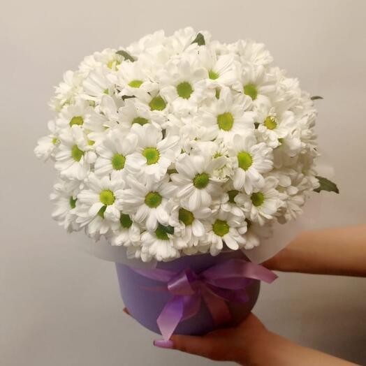 Ромашки в шляпной коробке