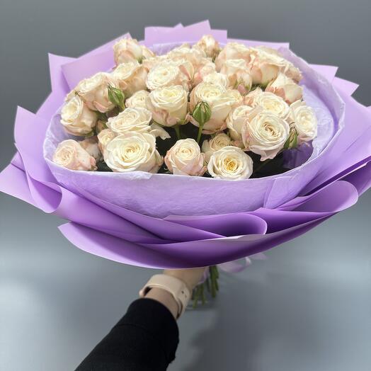 Lavender Dream