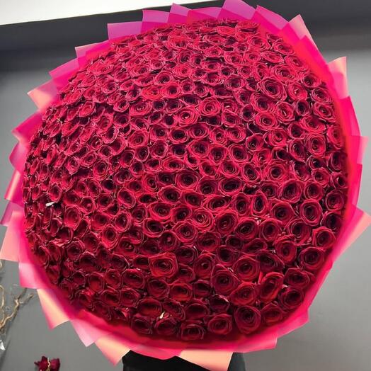 Bouquet of 351 scarlet roses