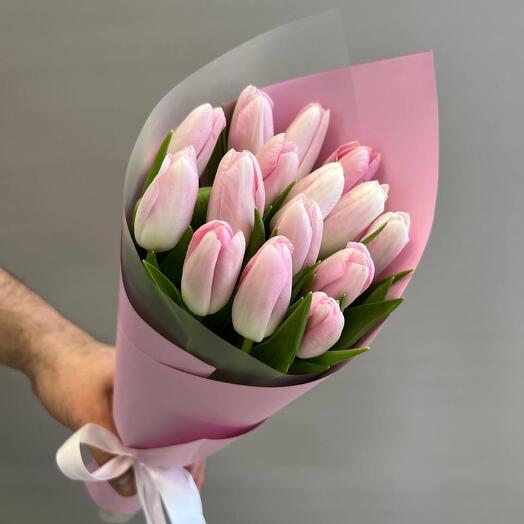 15 Тюльпанов «Династия»