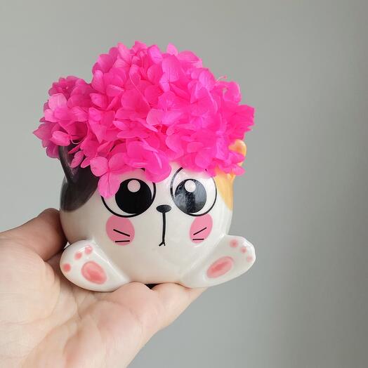 Маленький котик с гортензией