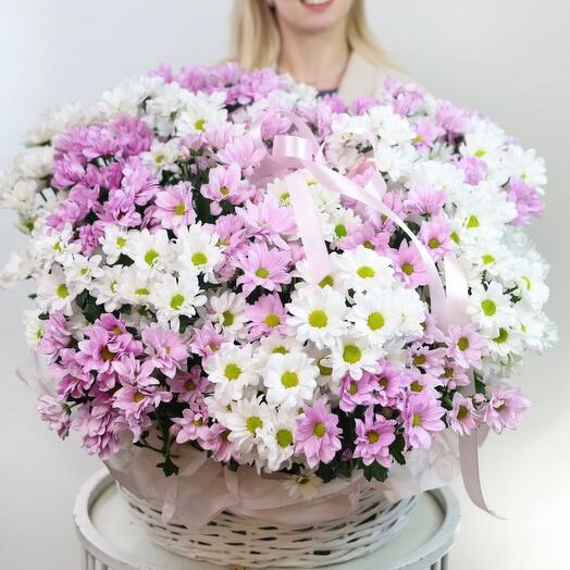 Корзина с цветами/ цветные кустовые хризвнтемы