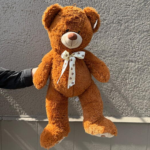 Qəhvəyi oyuncaq ayı 🧸