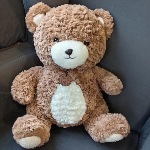 Медведь Матвей