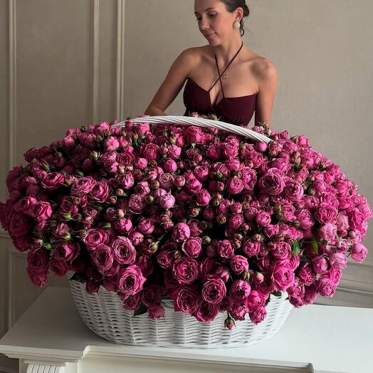 Корзина из 251 кустовой пионовидной розы