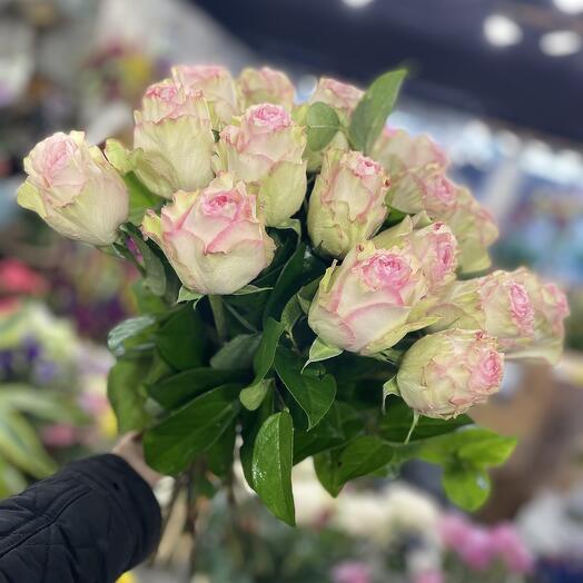 Rosalinda