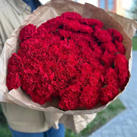 Гвоздики на 9 мая