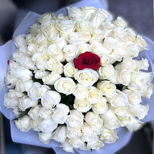 100 białych róż z jedną czerwoną różą