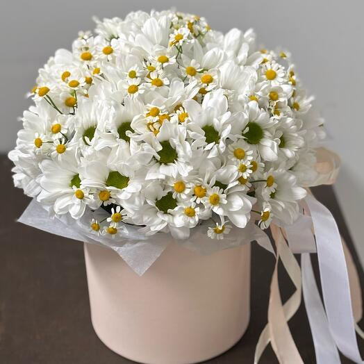 Коробочка с ромашковой хризантемой и танацетумом🌸