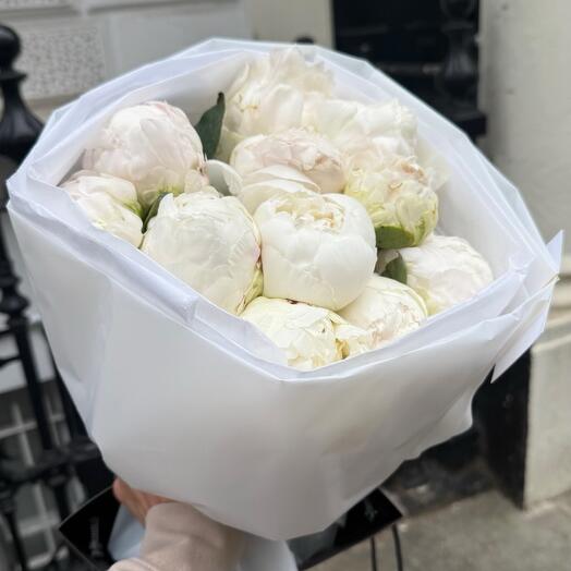 Peonies white 11 stems