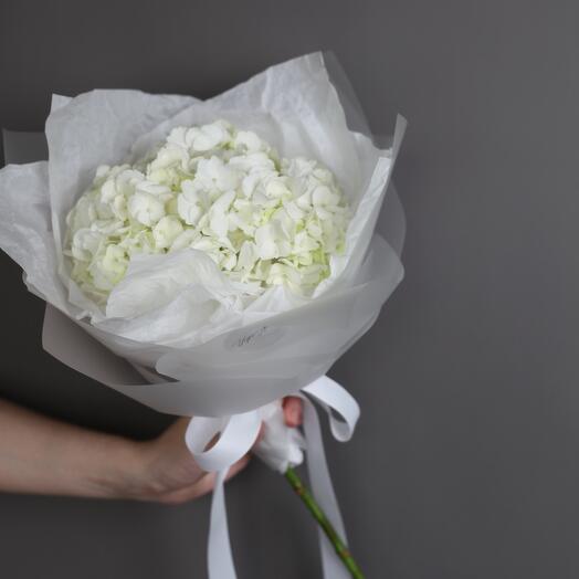 Hydrangea in a package