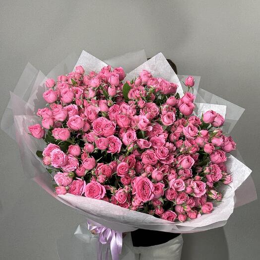 Спрей розы Софи