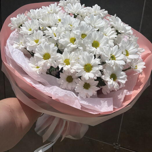 Хризантема кустовая Ромашка