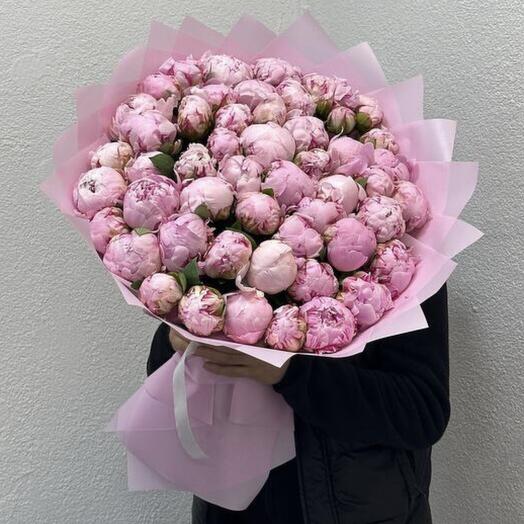 Монобукет из 51 пиона сорта Сара Бернар 🤍🌸