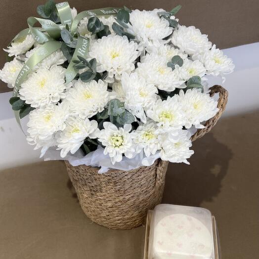 Хризантема в корзине и бенто