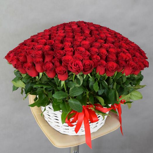 Корзина из 251 кенийской розы