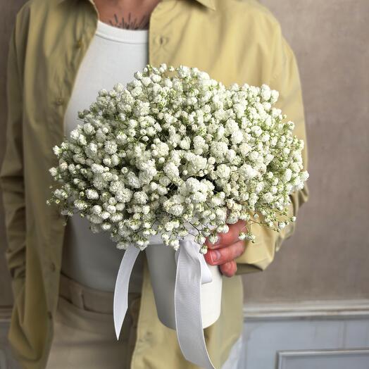 Белая гипсофила 7 шт в стаканчике