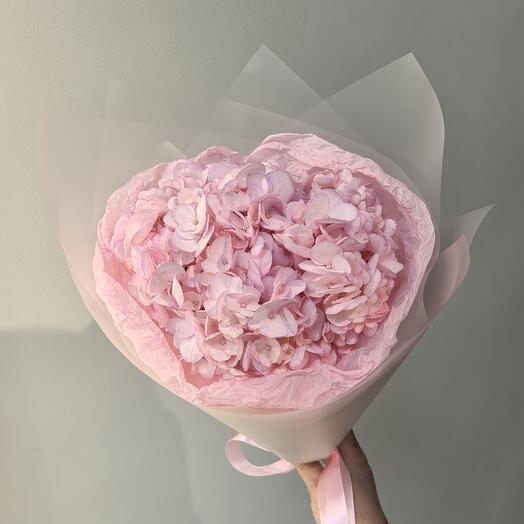 Розовая гортензия