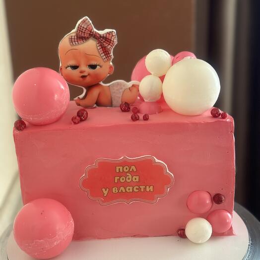 Пол года у власти