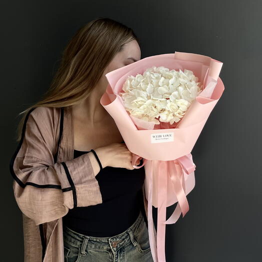 Hydrangea White in pink