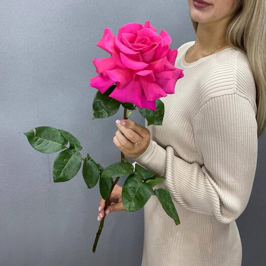 Французские розовые ароматные розы Пинк Флоид