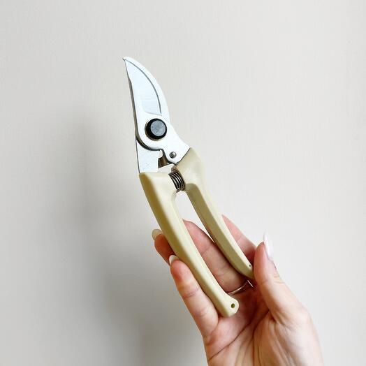 Секатор для комнатных растений