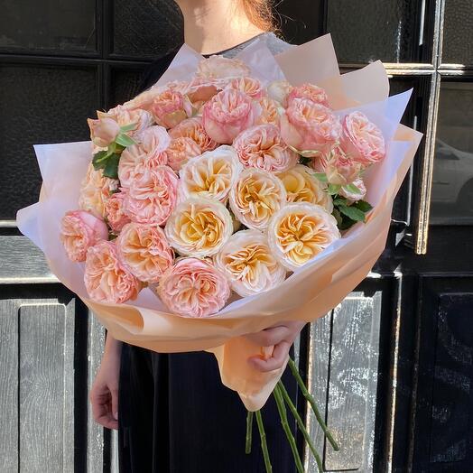 Gentle trendsetter 7