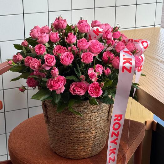 Корзина из роз Romeo размер M