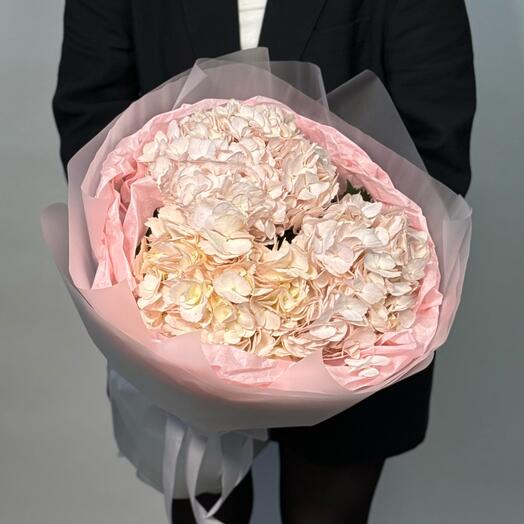Mono bouquet 169 de hortensias Rosadas
