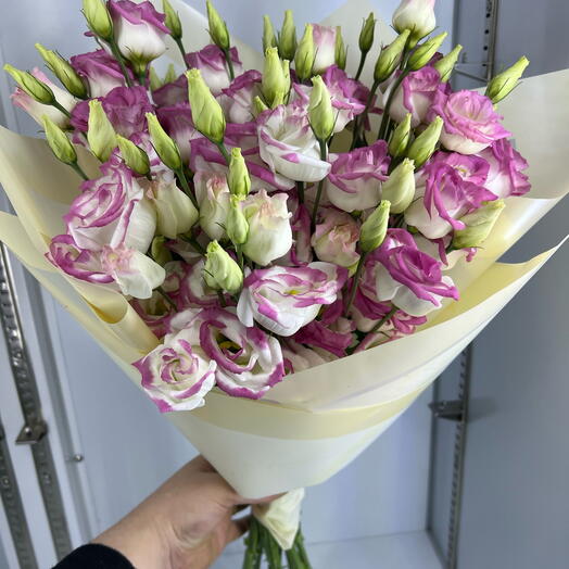 Eustoma Hot Lips