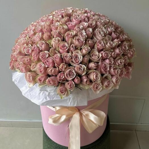 251 роза в шляпной коробке