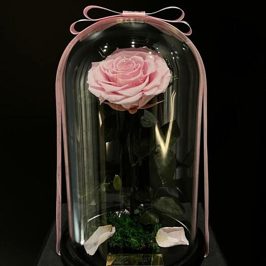 «Eternal Rose Dome»