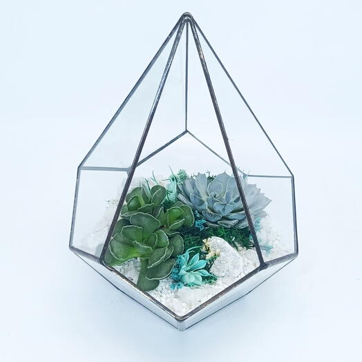 Florarium with succulents "Tiffany" Drop 14x20cm