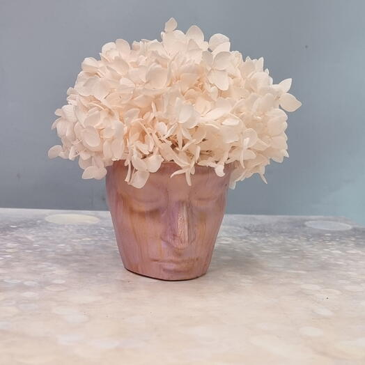 Стабилизированная гортензия в оригинальном кашпо Зефирка