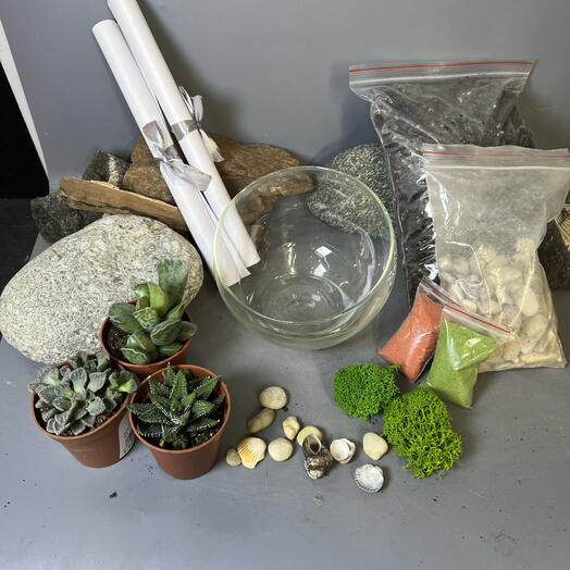 Набор для самостоятельной сборки с теневыносливыми 3