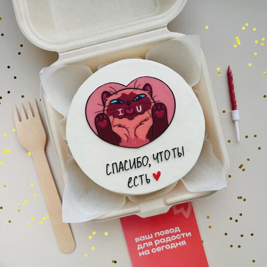 Бенто торт с котиком в подарок второй половинке на 14 февраля Спасибо, что ты есть