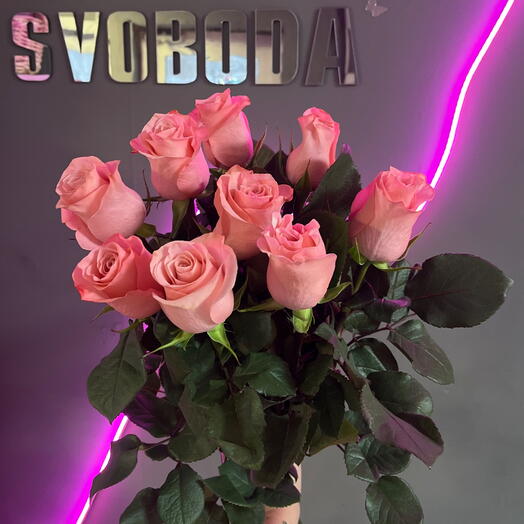 9 нежно-розовых роз