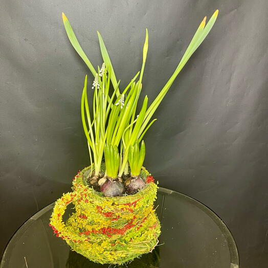 Большая чашка Весны с нарциссом, мускари и гиацинтами