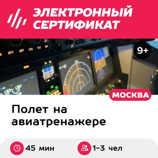 Подарочный сертификат Полет на авиатренажере Boeing 737 MAX, 45 мин., 1-3 чел., будние дни