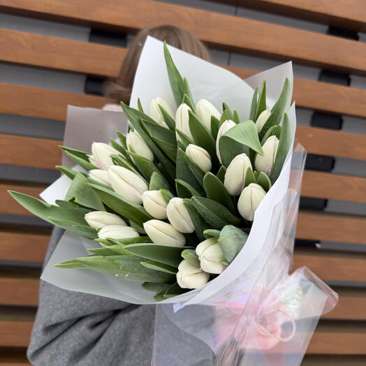 25 белых тюльпанов
