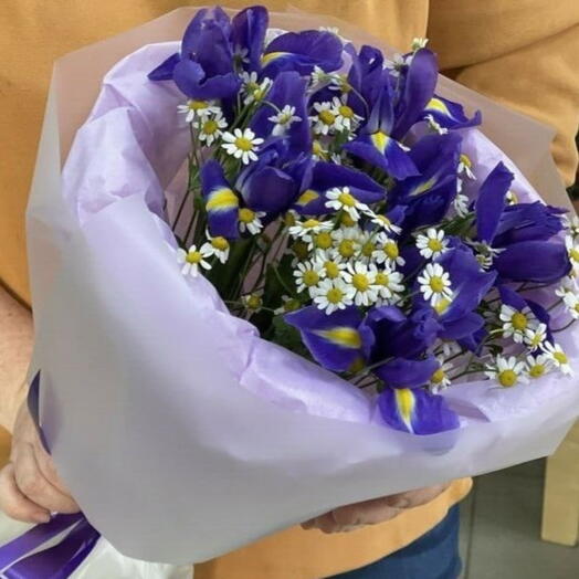 Летнее Поле