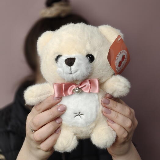 Маленький плюшевый мишка