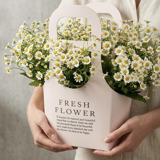 Ромашки в сумке