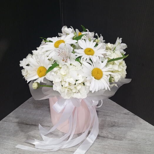 Летние настроение🌼