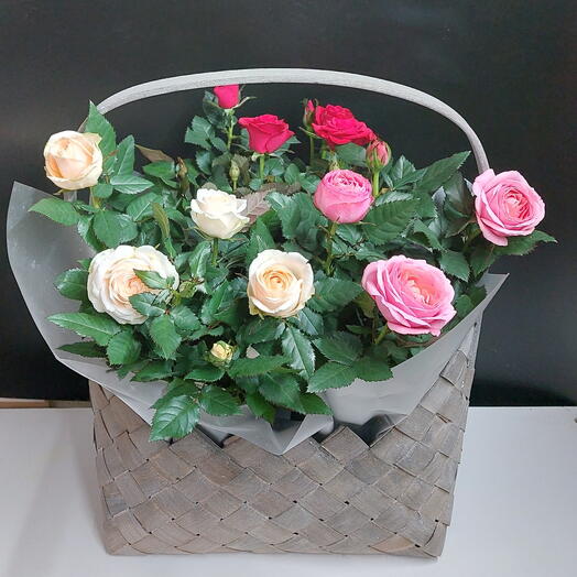 🌹 Любимые розочки в корзине