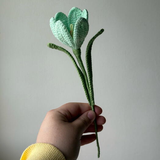 Крокус тиффани🩵💚💙